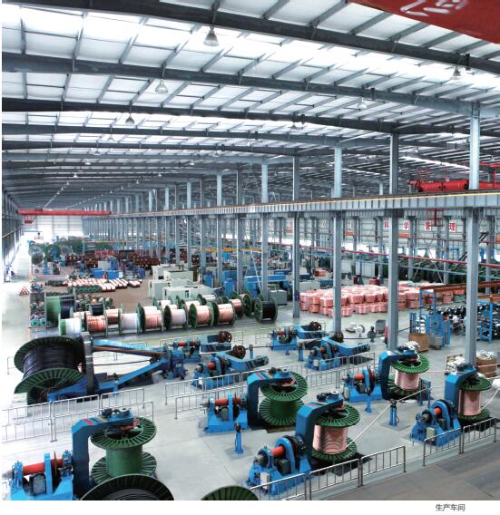 生產(chǎn)車(chē)間一覽圖